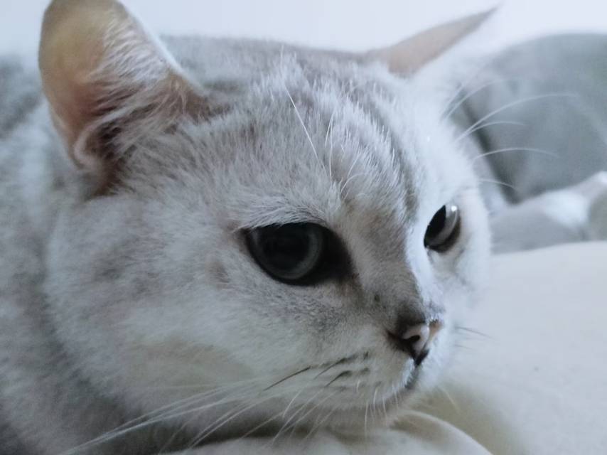找聊天生活陪伴搭子