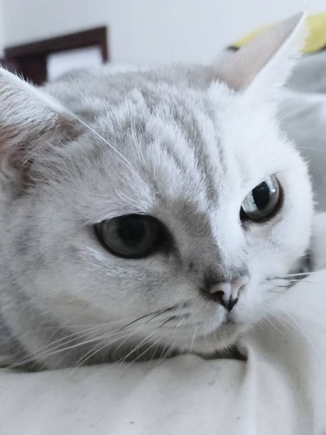 找聊天生活陪伴搭子
