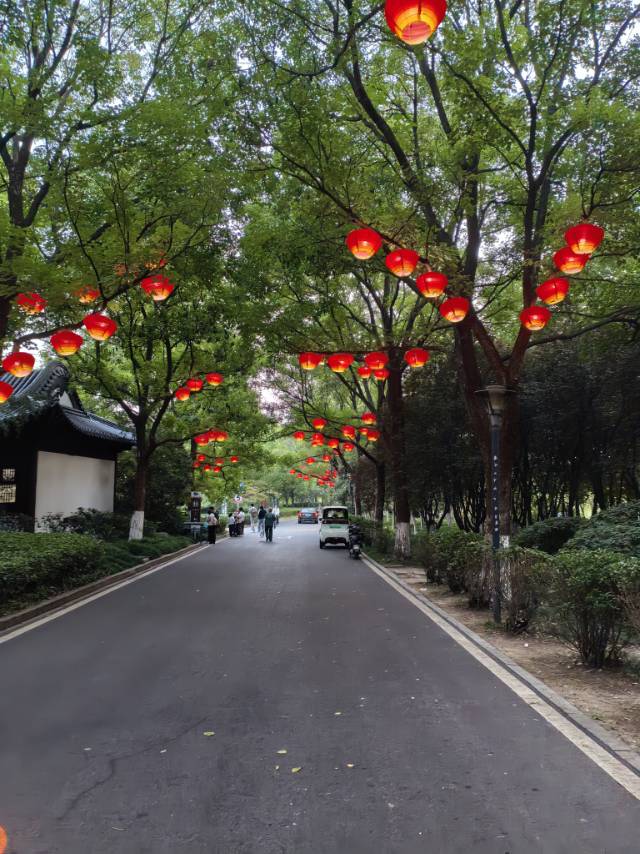 找逛徐州云龙湖景区搭子