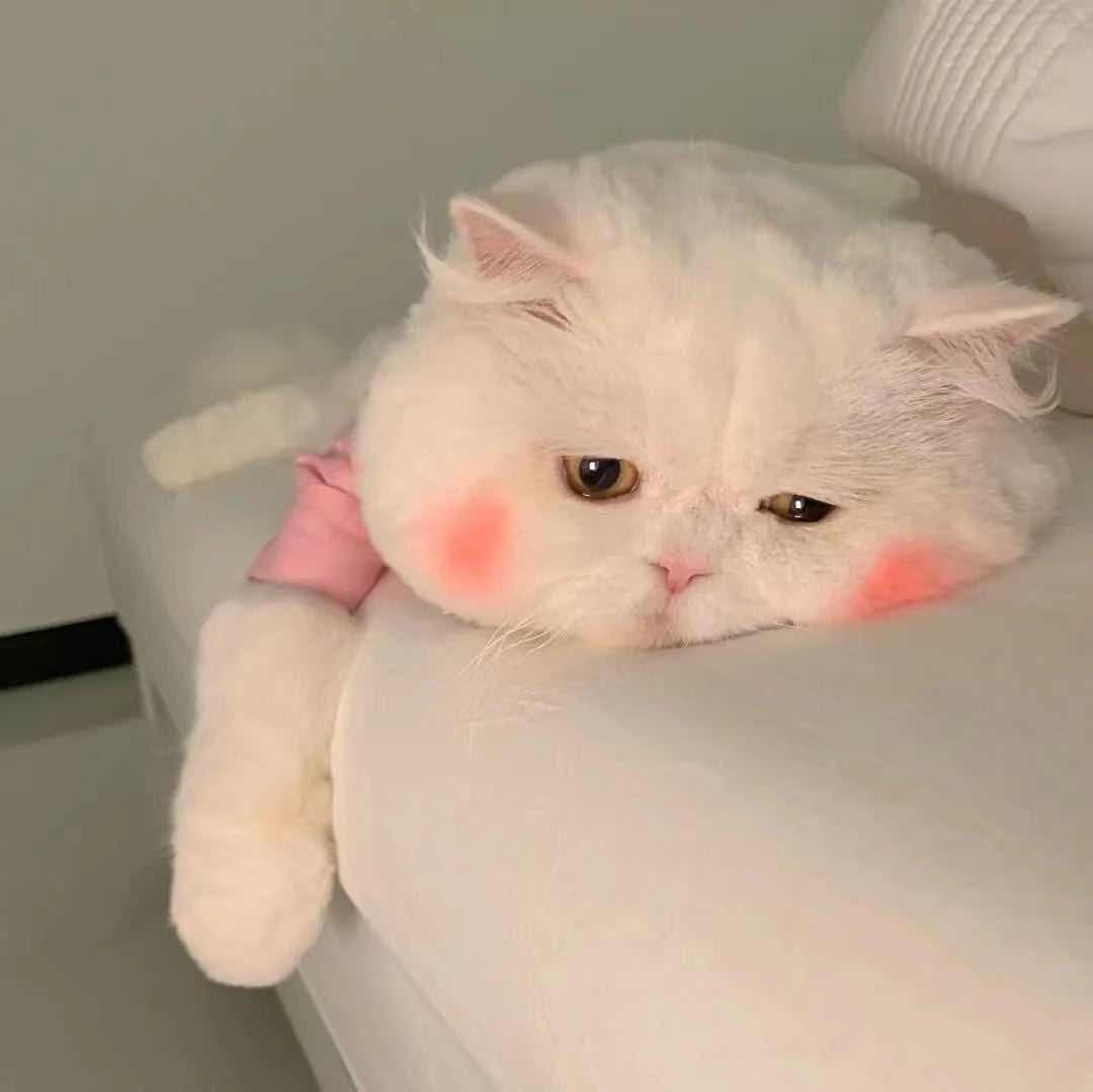找运动搭子
