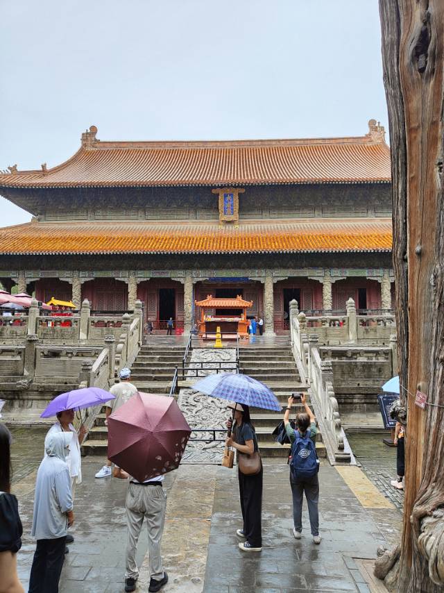 找旅行搭子