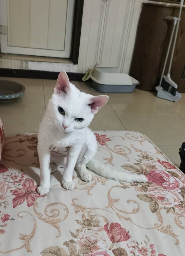 找美食搭子