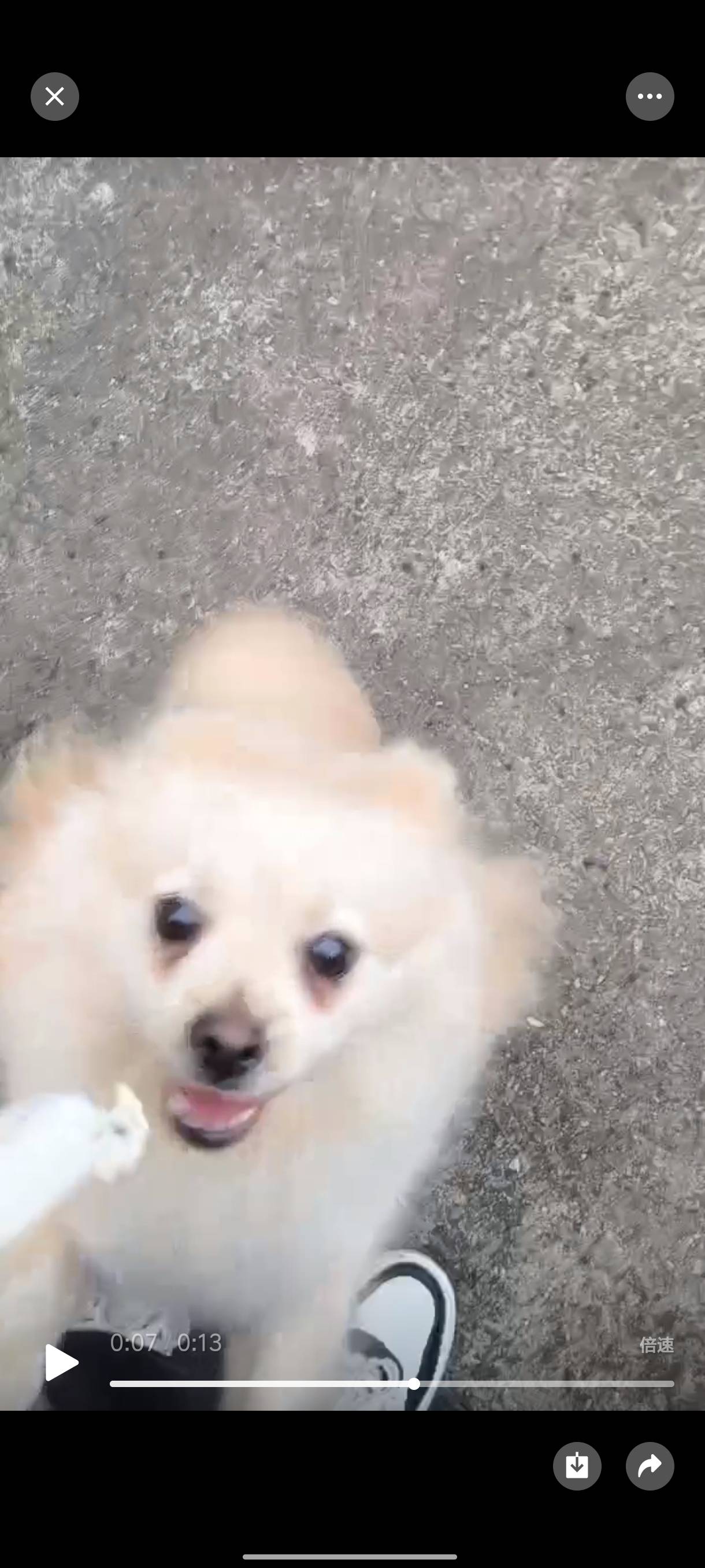 找聊天搭子
