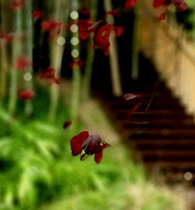 找旅行搭子