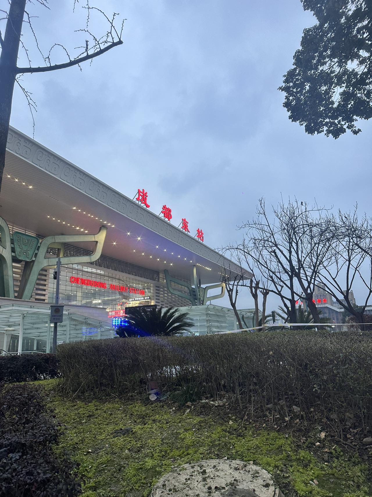 找陪伴搭子