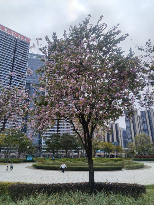 找运动搭子