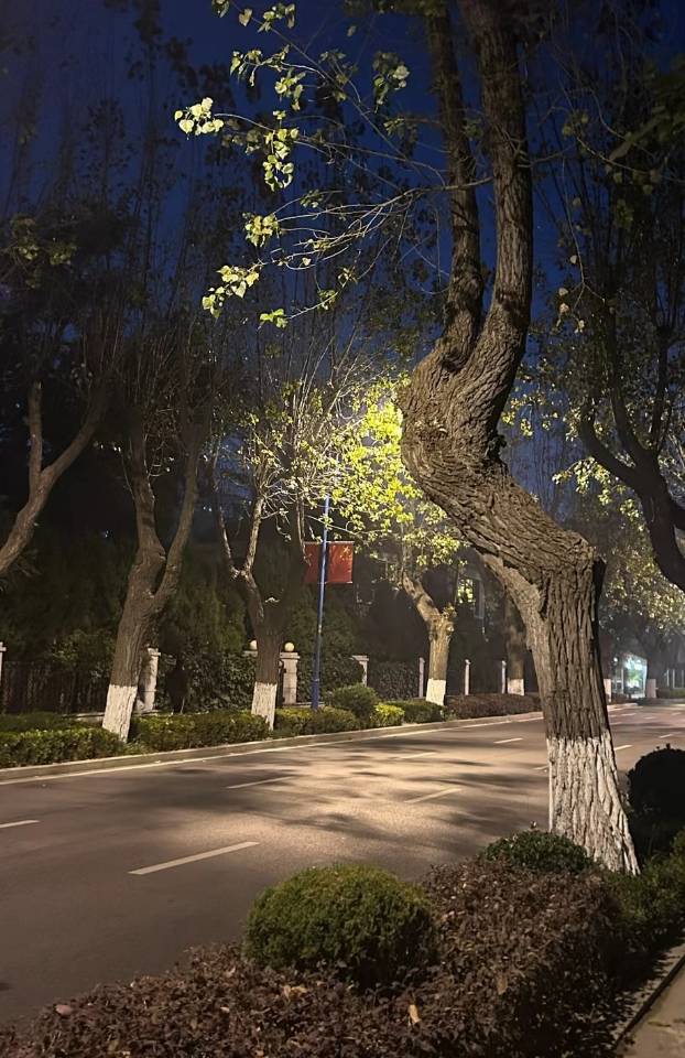 找拍照搭子
