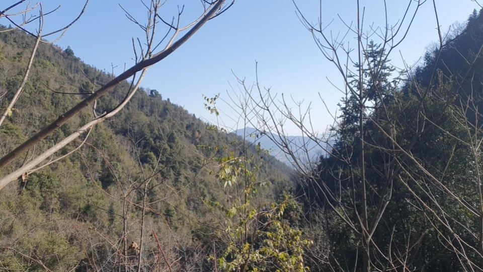 找运动搭子