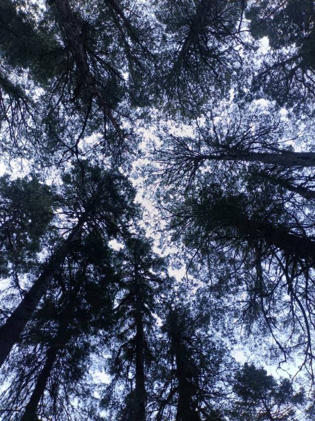 找玩搭子