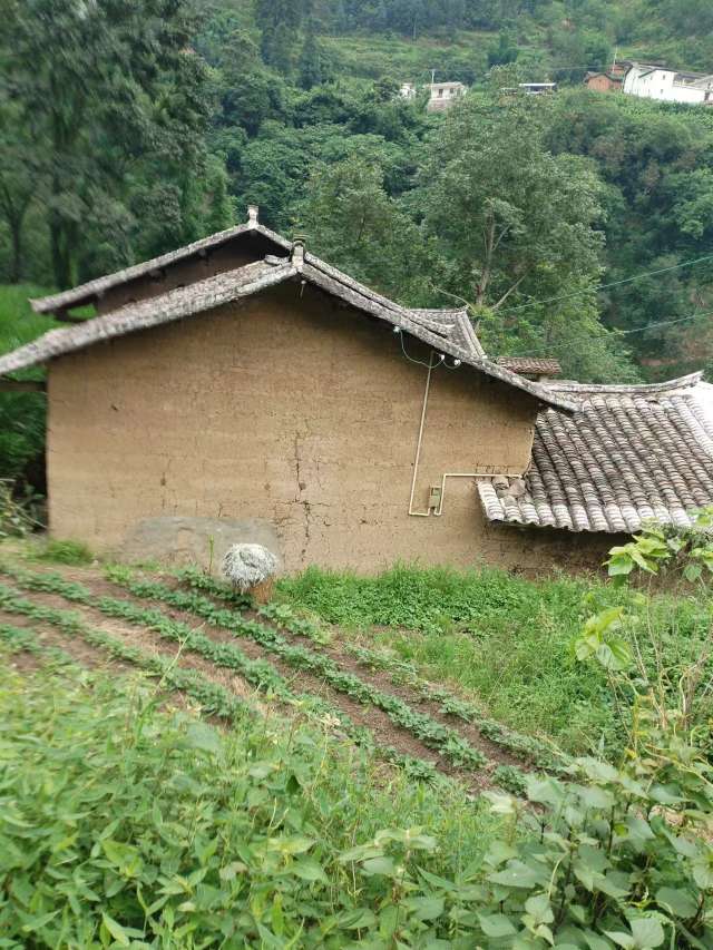 找旅游搭子