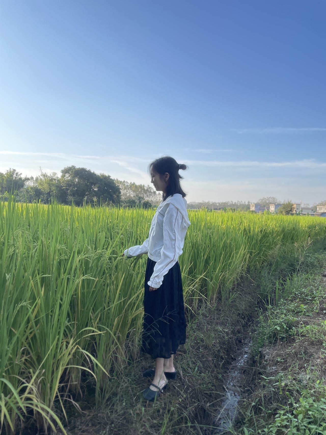 找旅游搭子