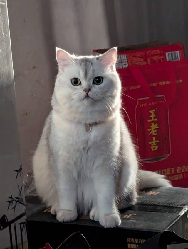 找运动搭子