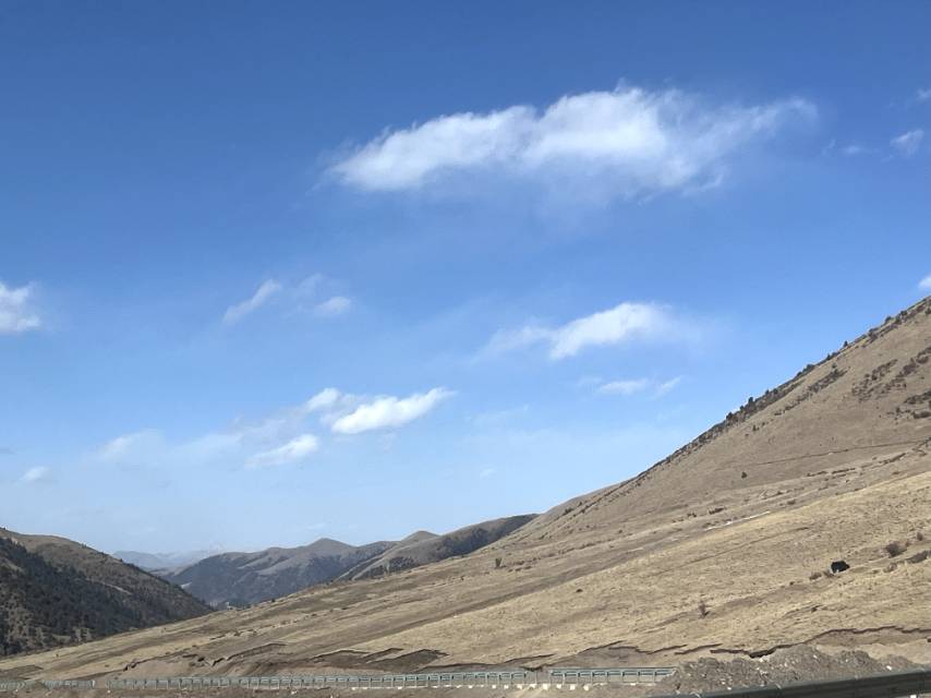 找旅游搭子