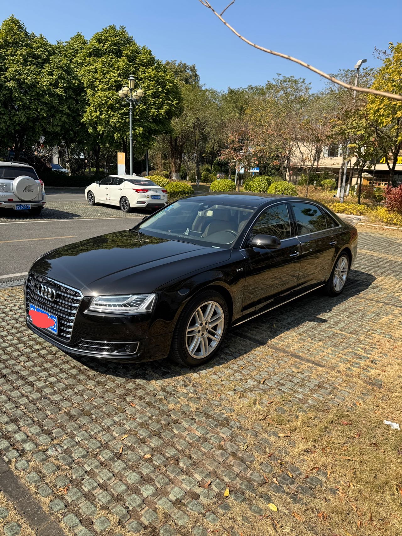 找自驾游搭子