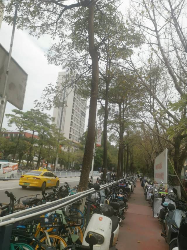 找旅游搭子