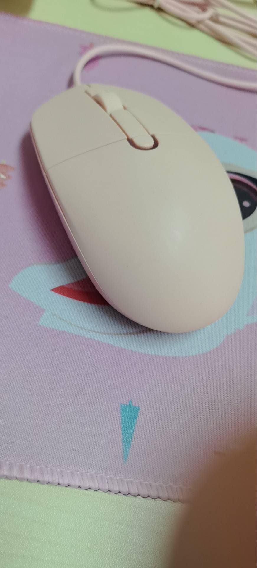 找旅游搭子