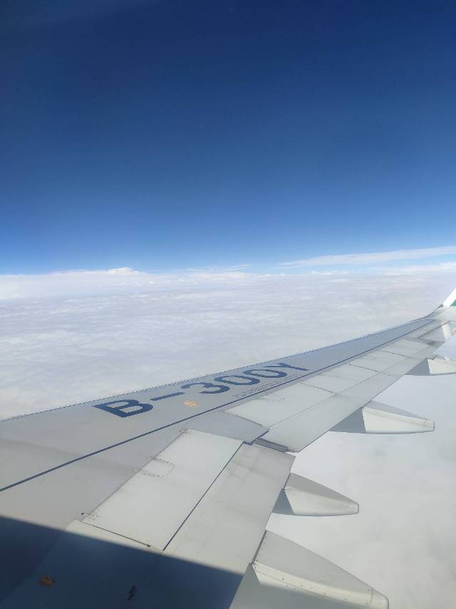找旅行搭子