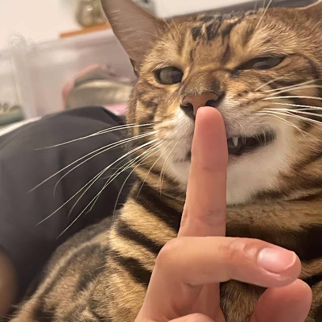 找酒搭子