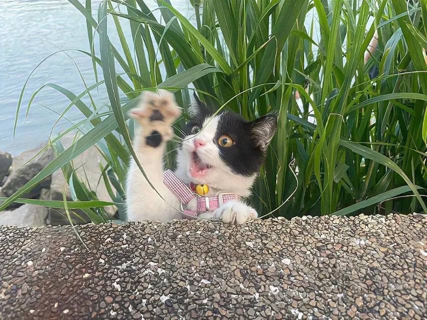 找旅行搭子
