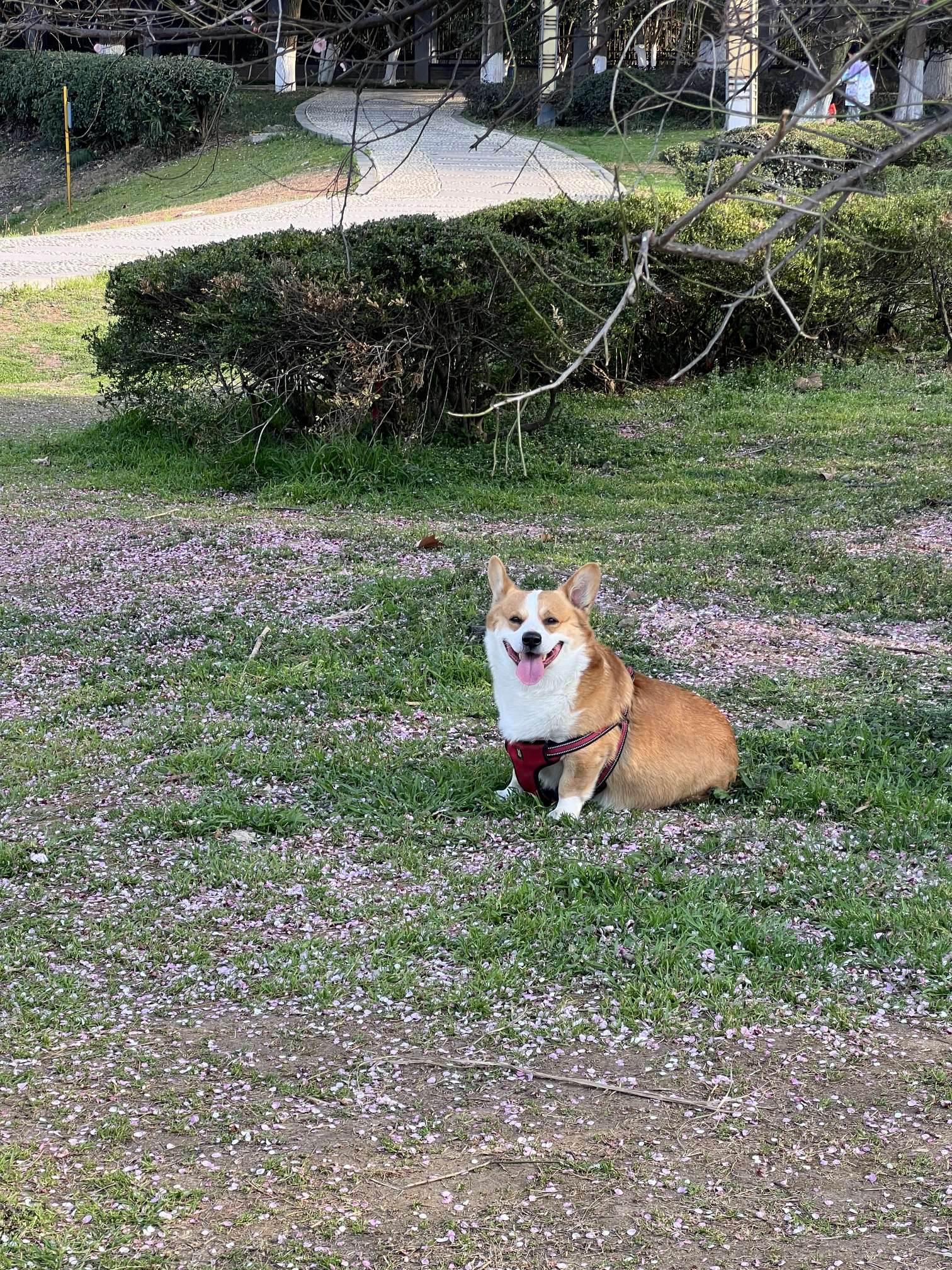 找活动搭子