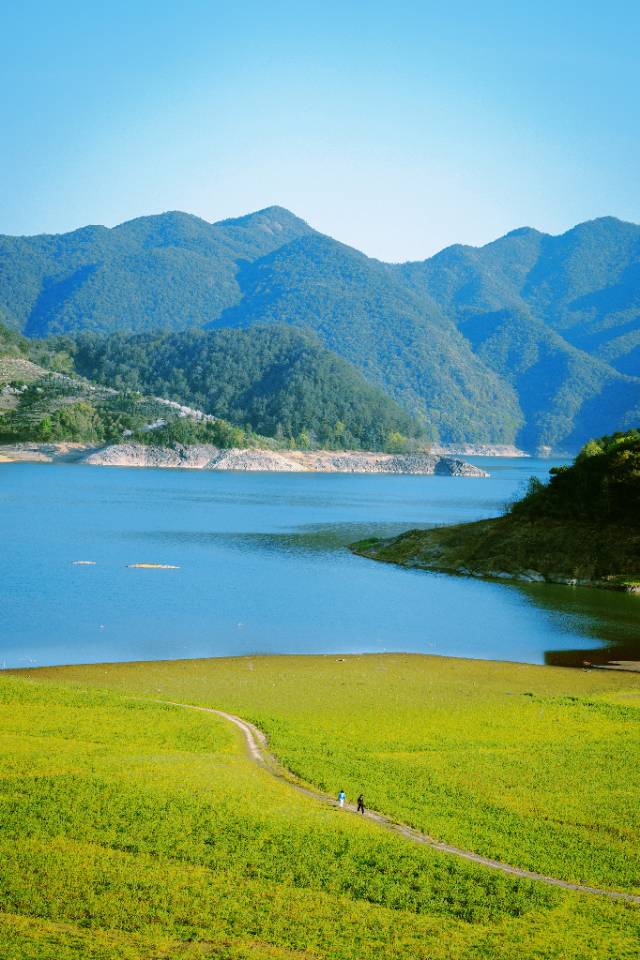 找旅游搭子