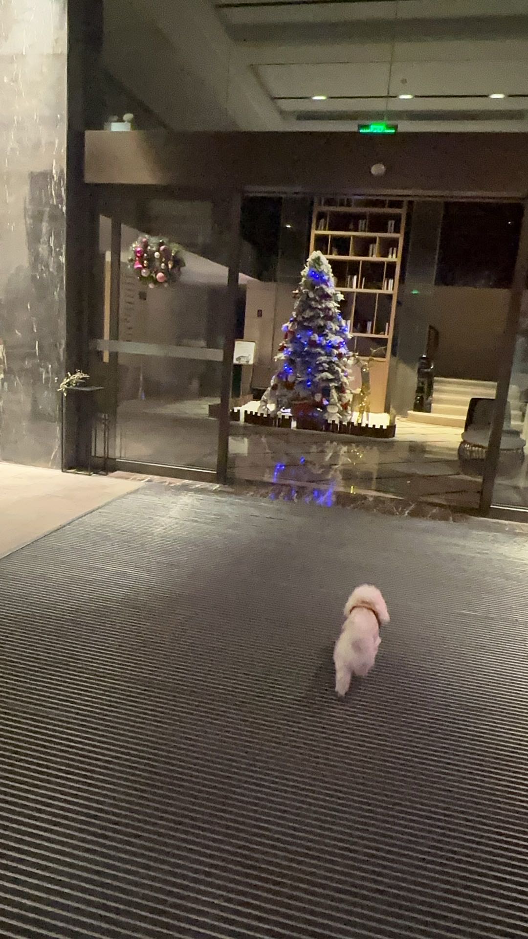 找运动搭子