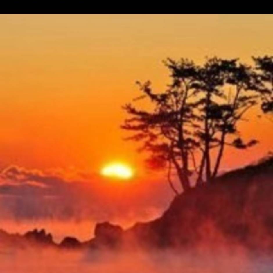 找旅游搭子
