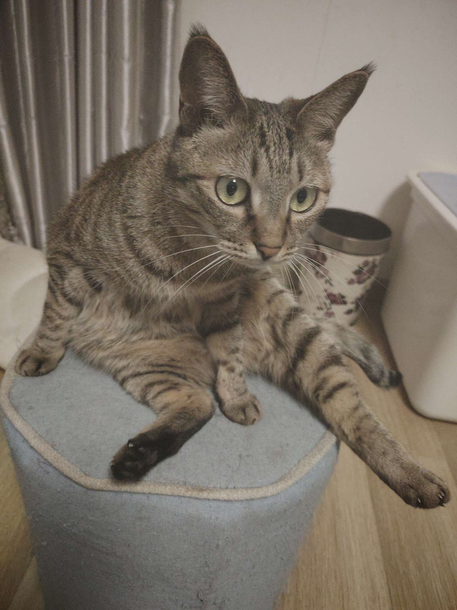 找台球搭子