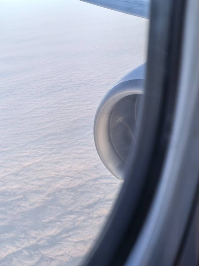 找旅游搭子
