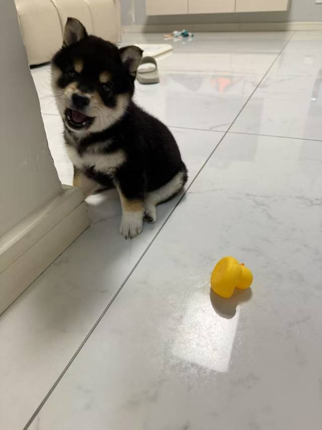 找运动搭子