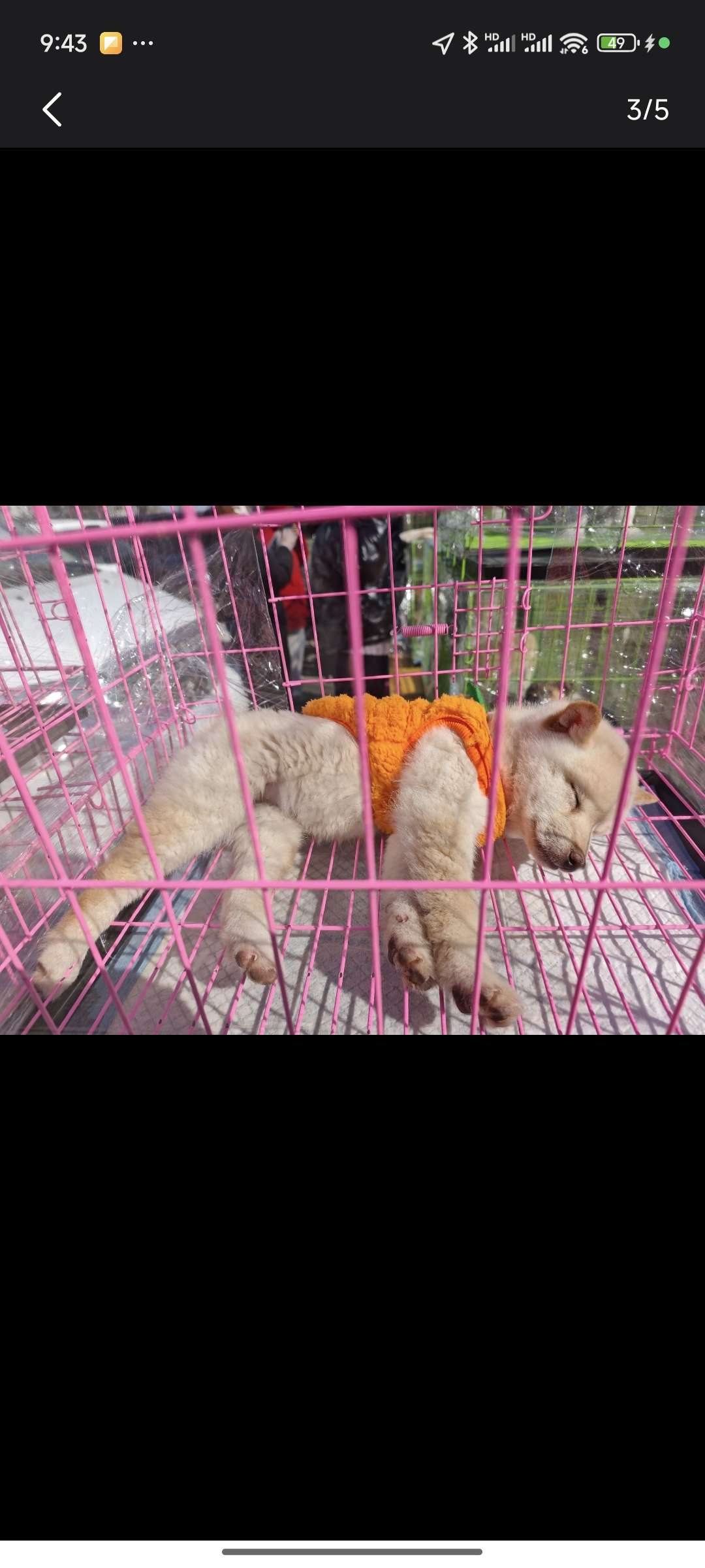 找逛街搭子