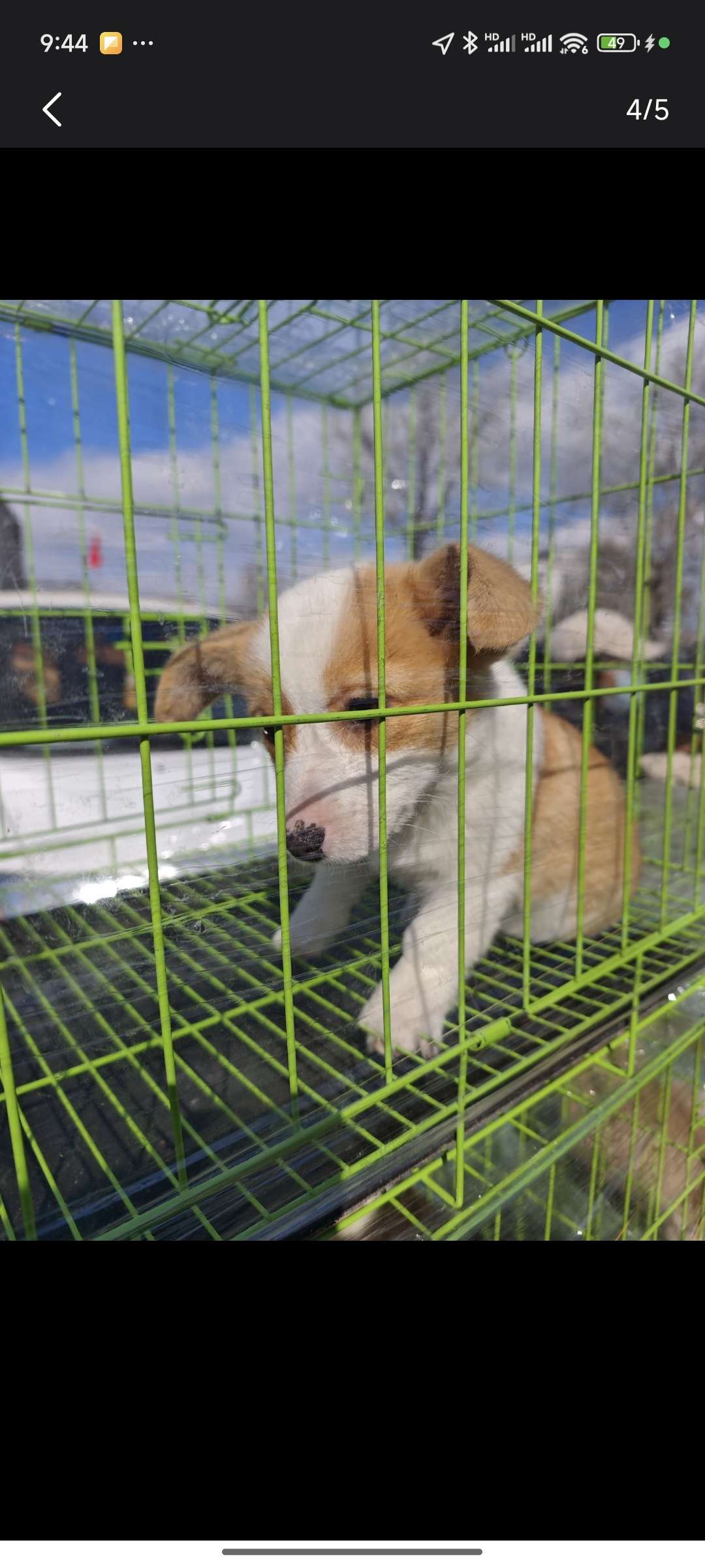 找逛街搭子