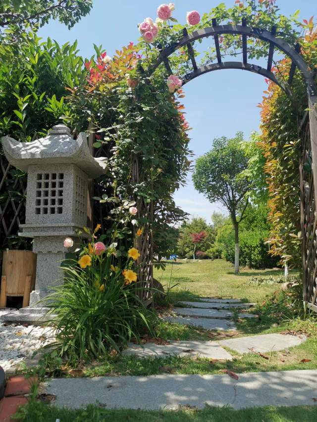 找麻将园艺旅行搭子