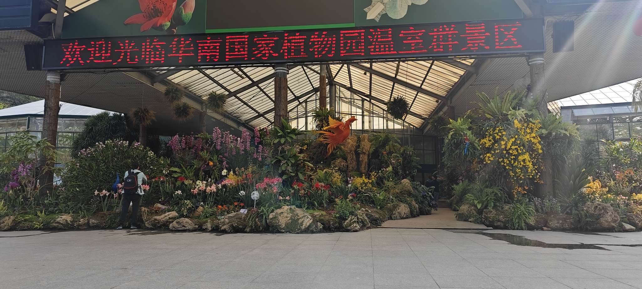 找约会搭子