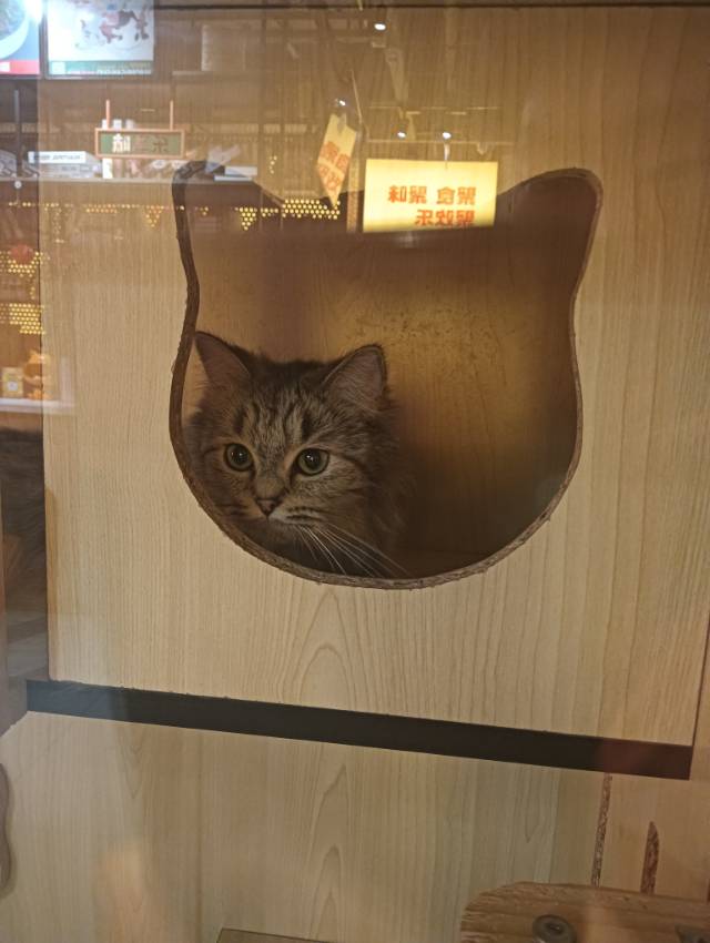 找台球搭子