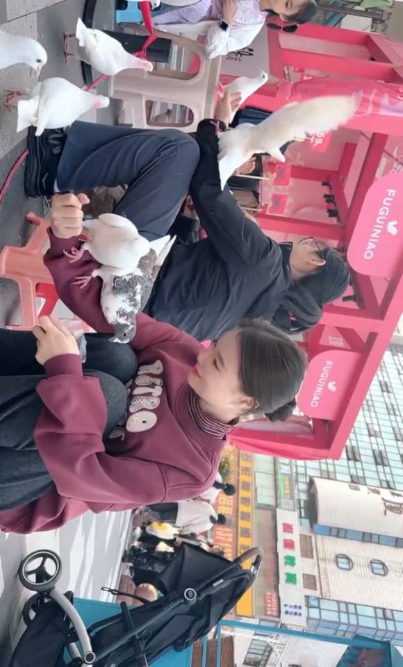 找旅游搭子