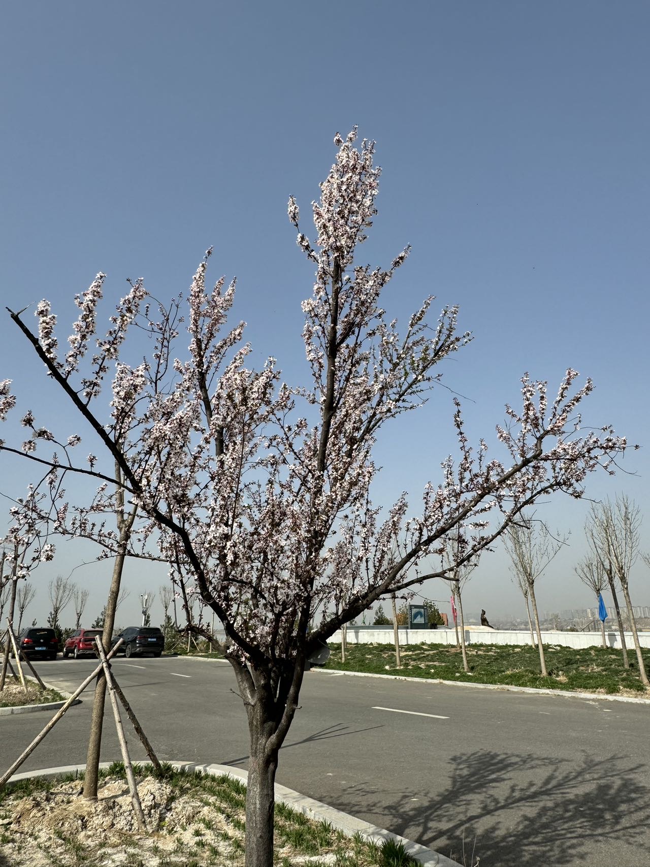 找旅游搭子