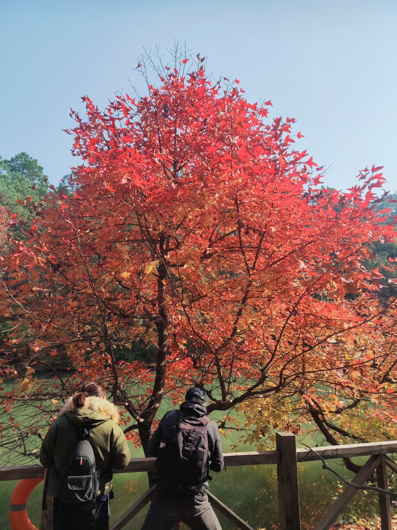 找旅游搭子