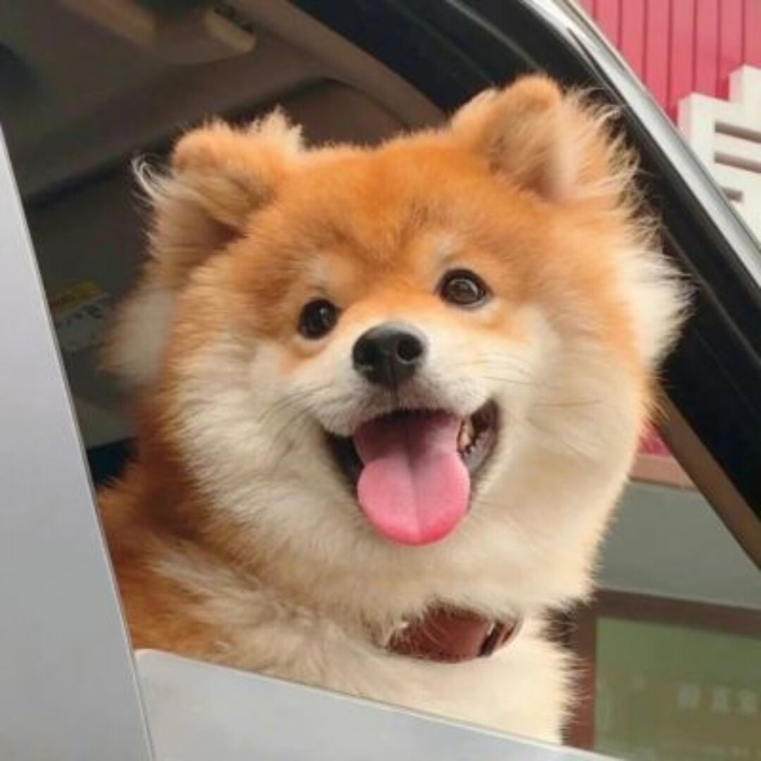 找跑步搭子
