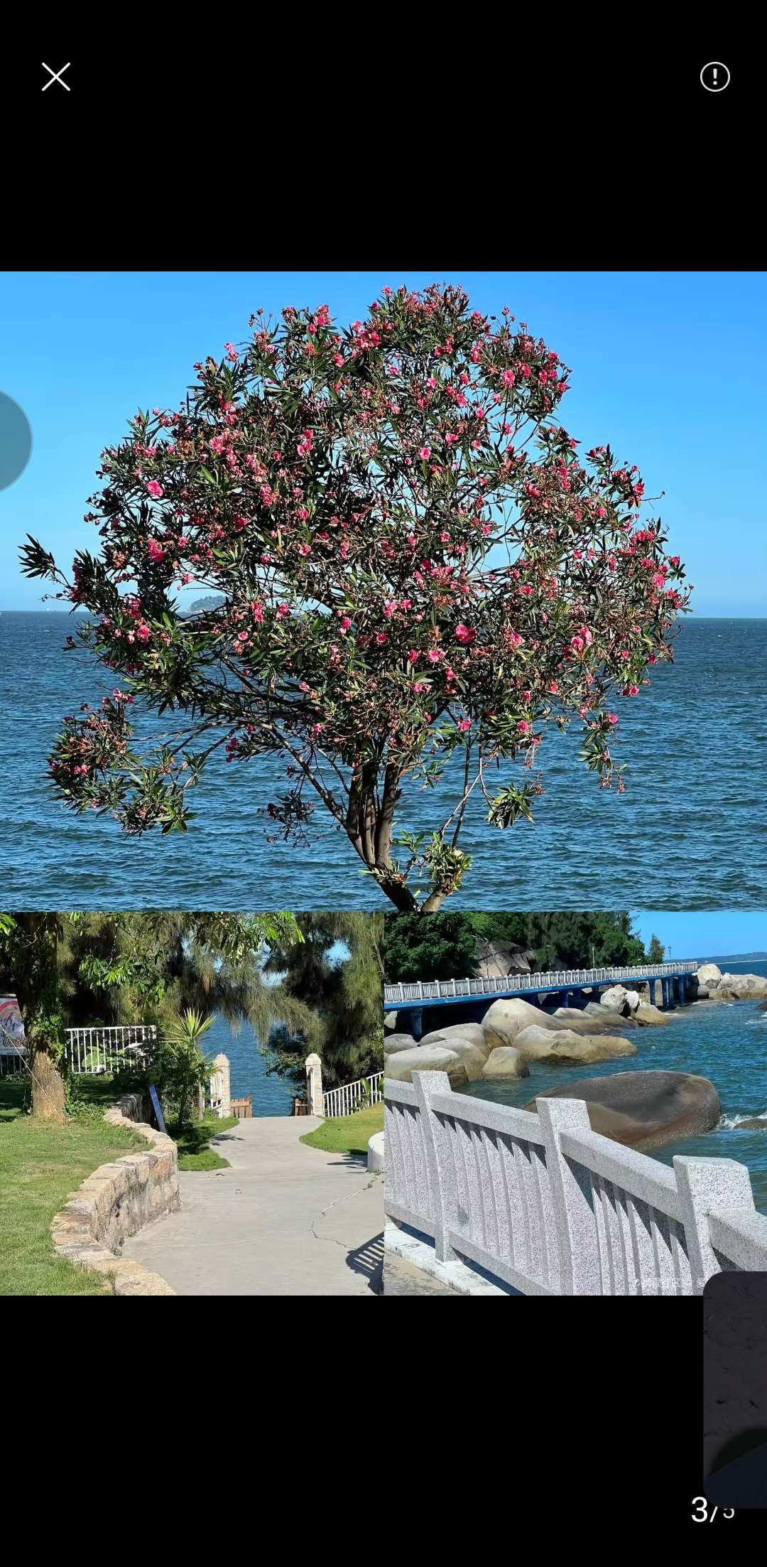 找旅游搭子