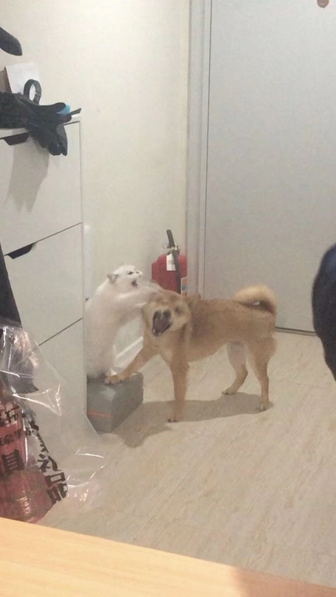 找学习搭子