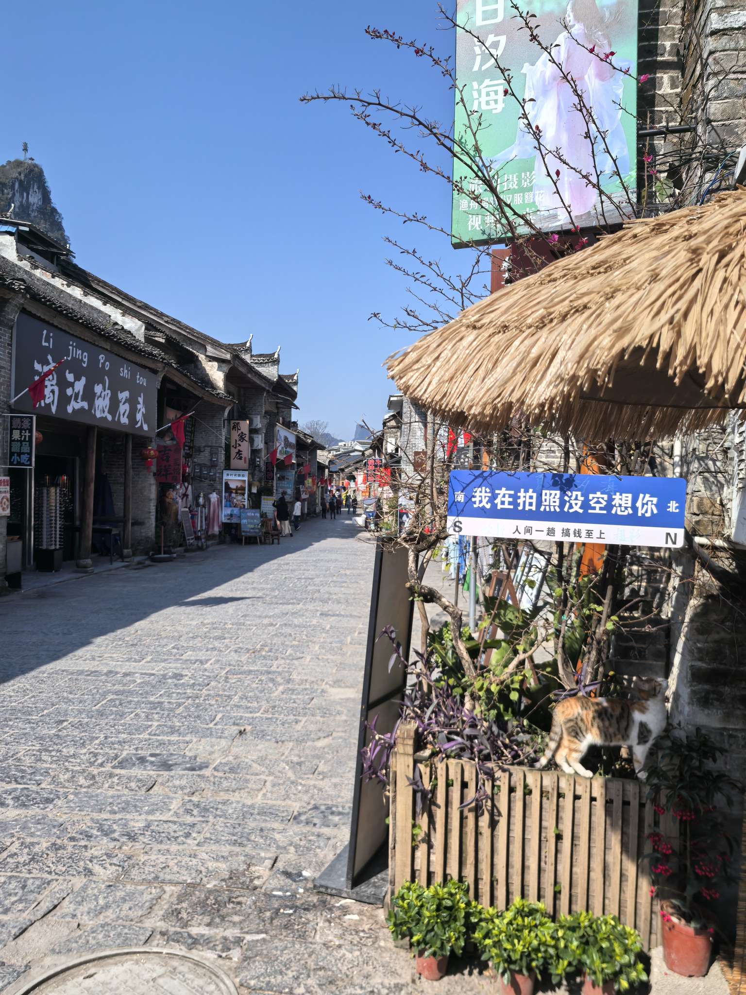 找旅游搭子