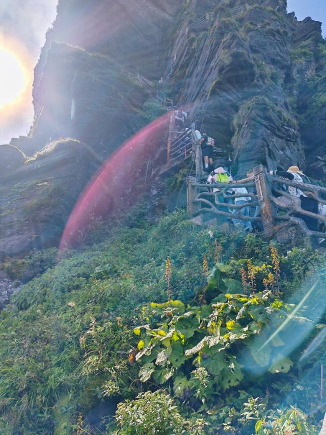 找旅游搭子
