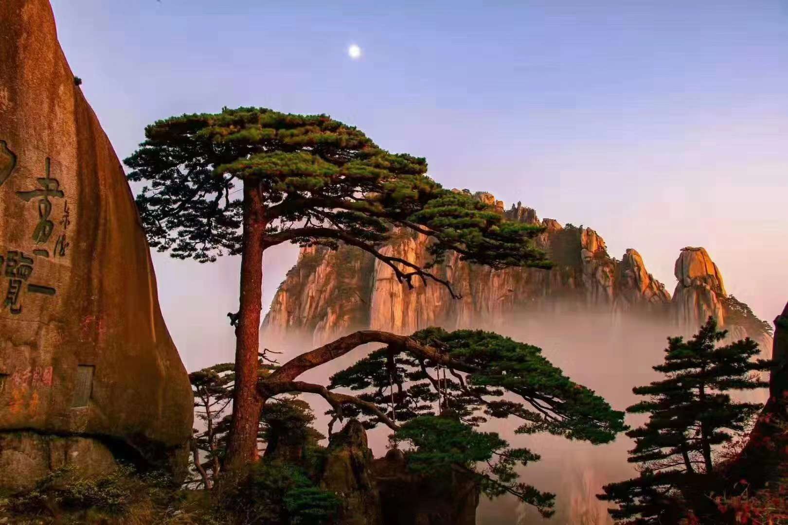 找旅游搭子