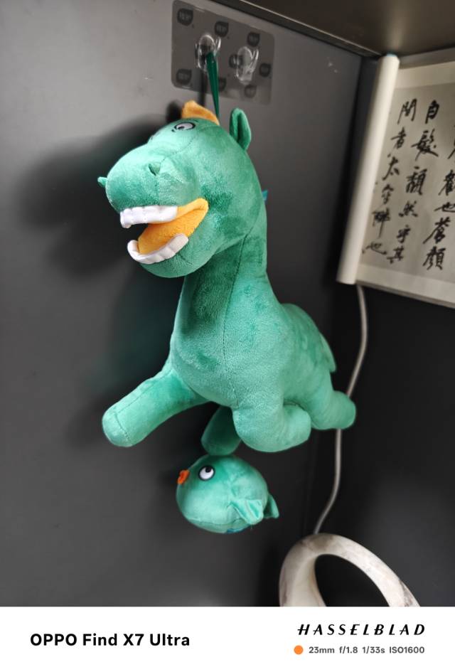 找旅游搭子