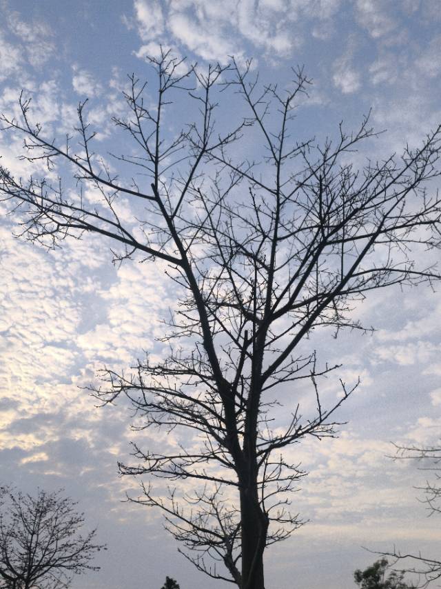 找学习聊天搭子