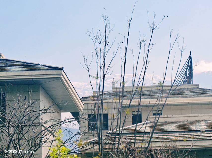 找聊天搭子