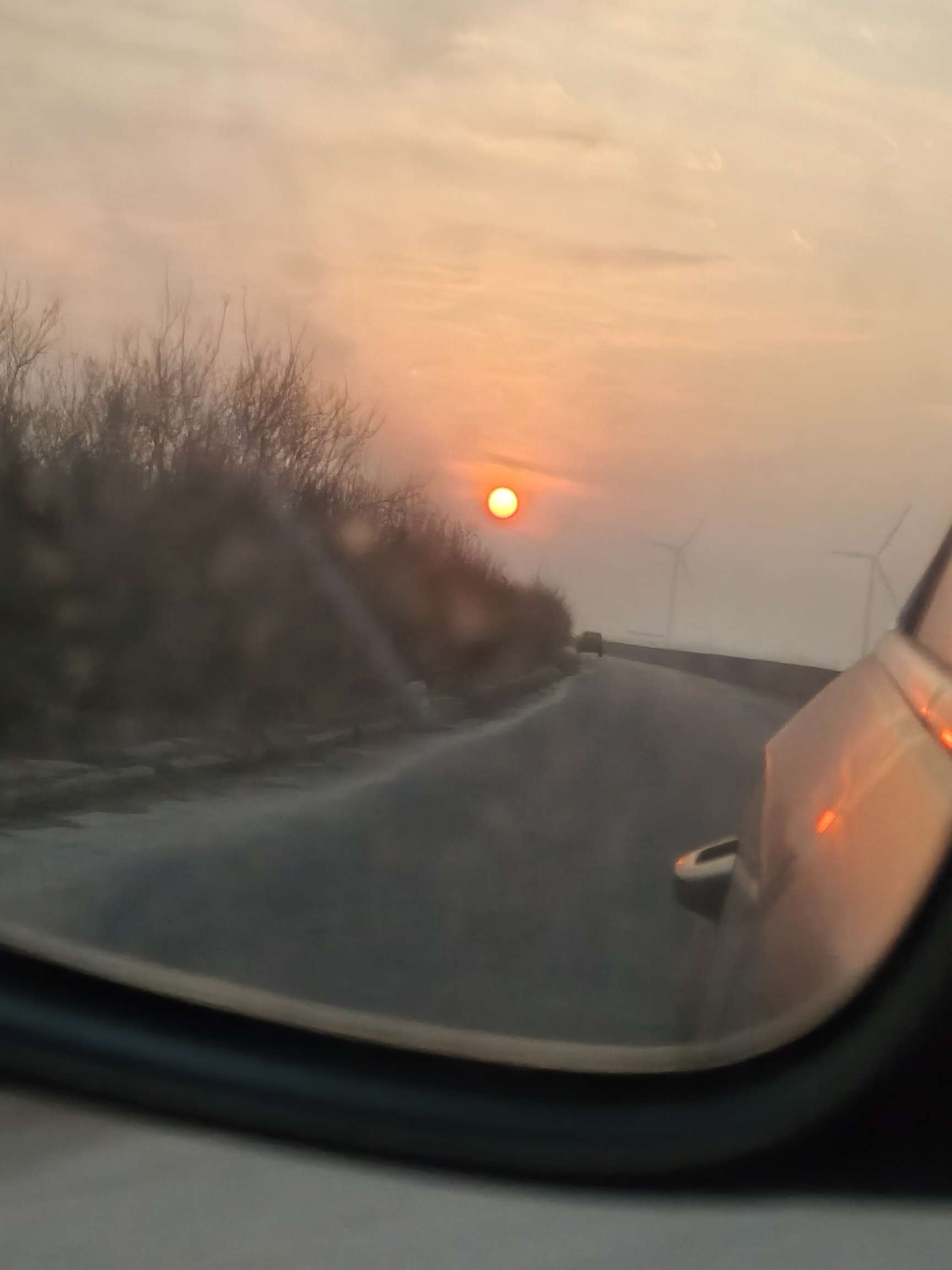 找旅游搭子