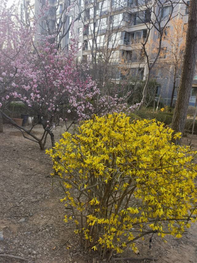 找约会搭子