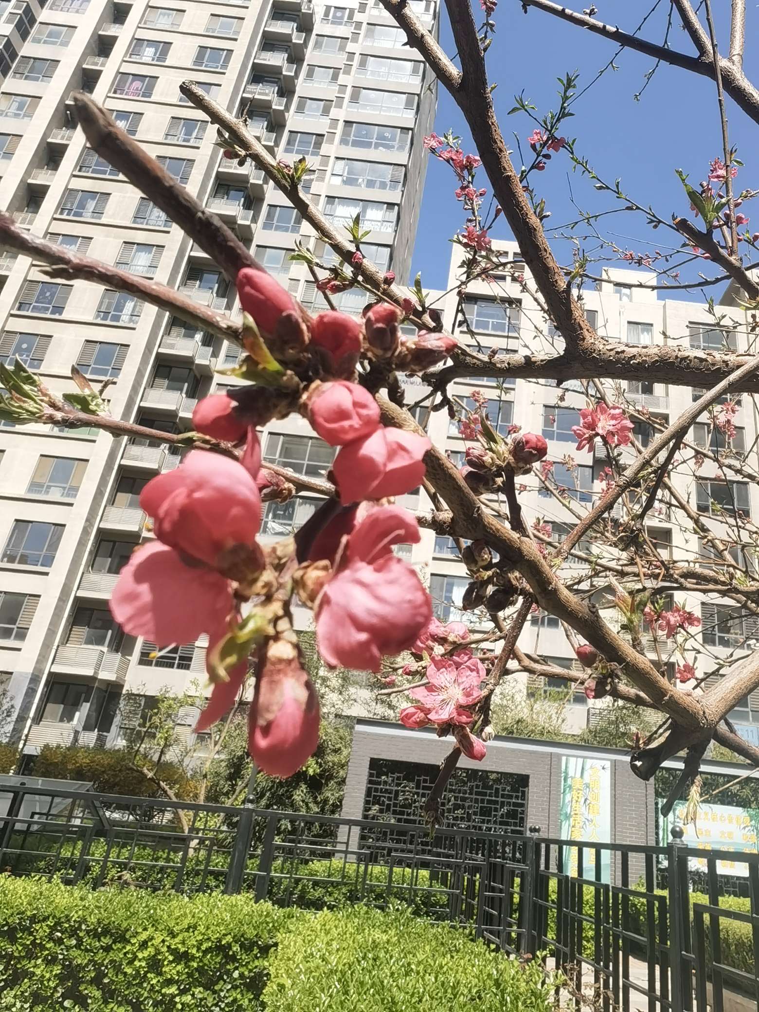 找旅游搭子